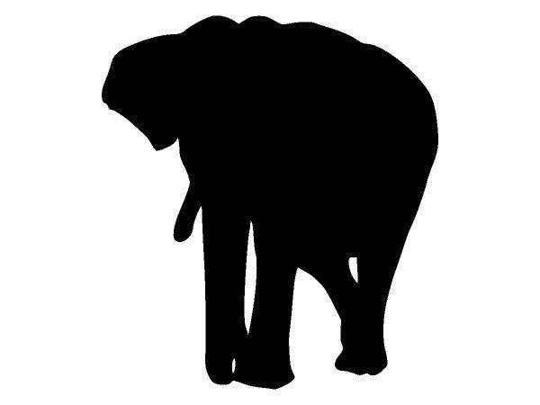 Животные 3564 Животные 3564