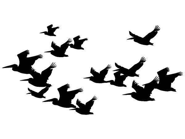 Животные 4232