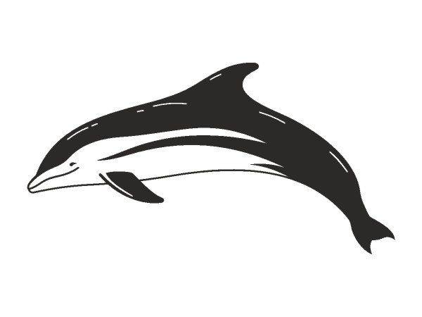 Татуировка 782