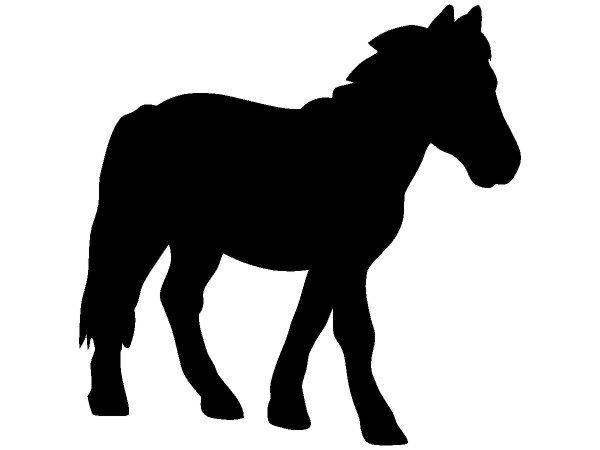 Животные 2525