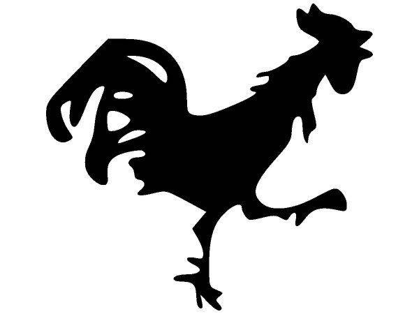 Животные 1645