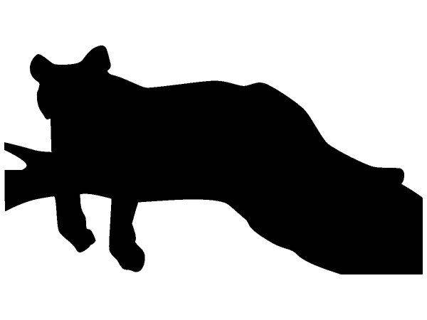 Животные 328