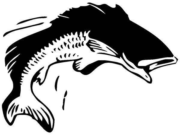 Животные 1633