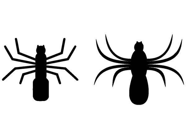 Животные 445