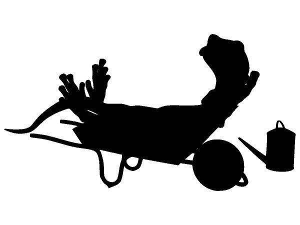 Животные 3438 Животные 3438