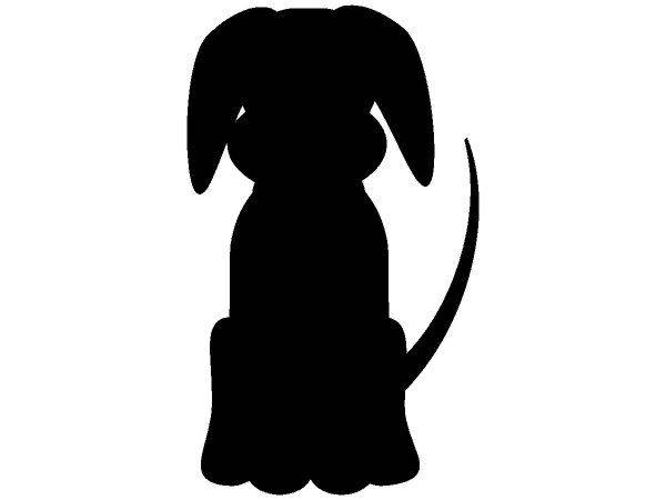 Животные 2533