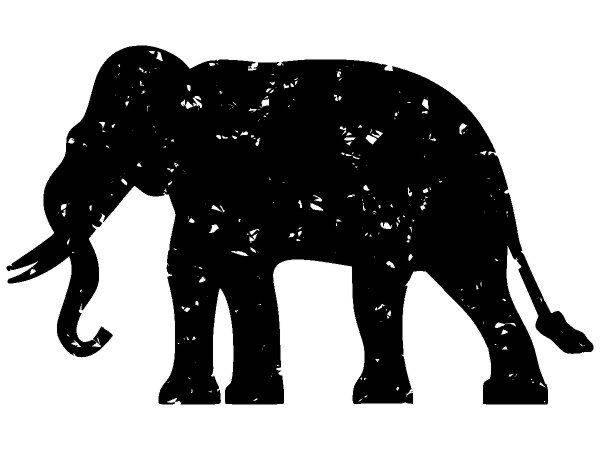 Животные 3018