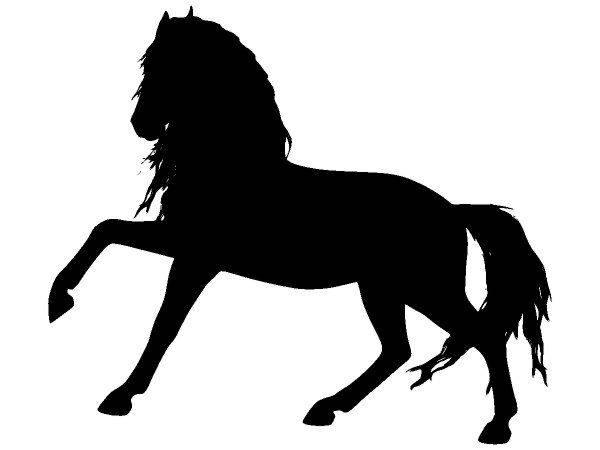 Животные 3470 Животные 3470