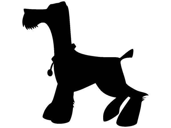 Животные 2807