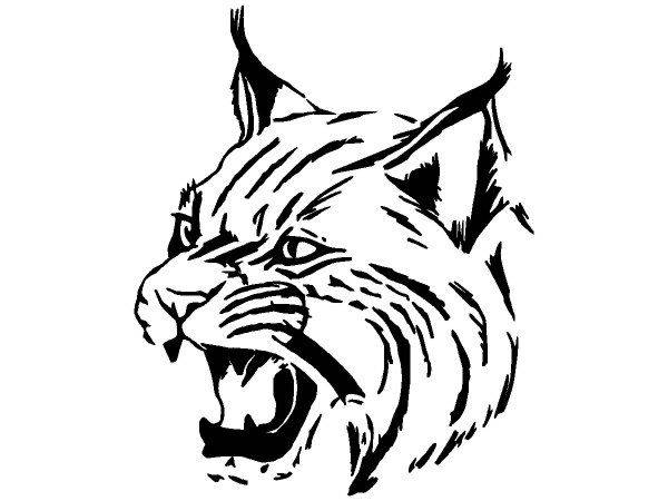 Животные 1601 Животные 1601