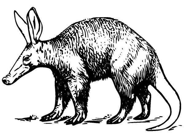 Животные 201