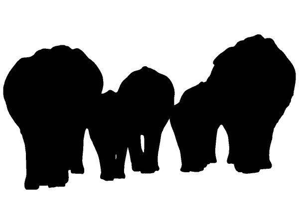 Животные 2182 Животные 2182