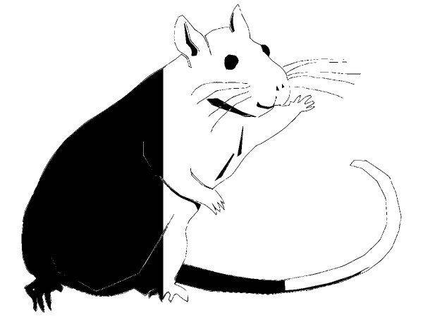 Животные 2466 Животные 2466