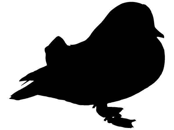 Животные 4013