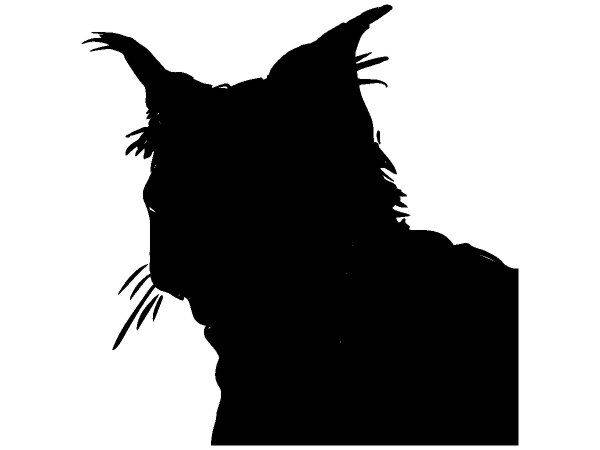 Животные 373 Животные 373