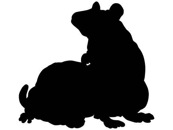 Животные 3006 Животные 3006