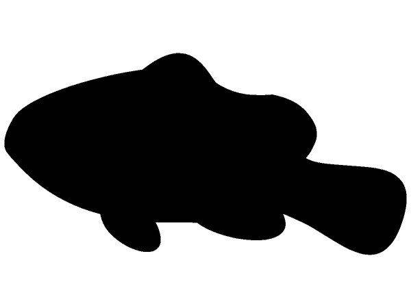 Животные 1432