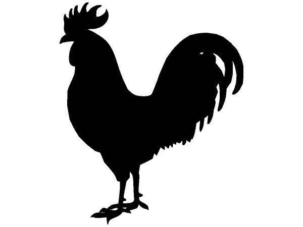 Животные 3971