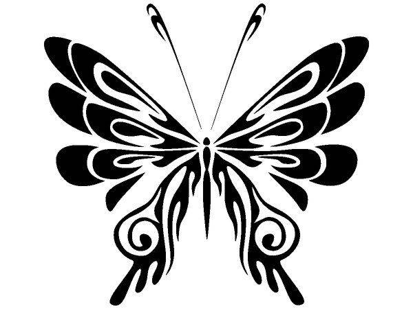 Животные 2637