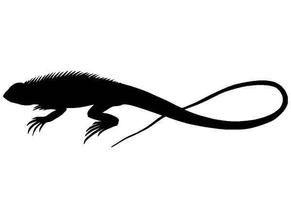 Животные 3841