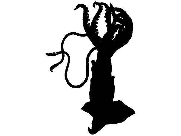 Животные 2787