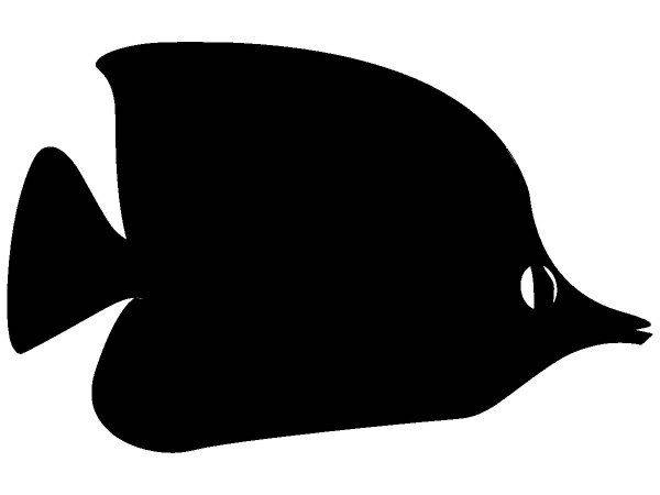 Животные 1457