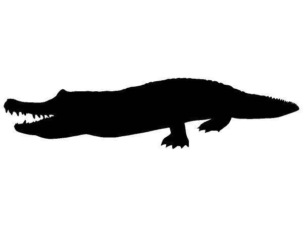 Животные 3335 Животные 3335