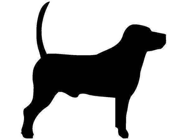 Животные 3116 Животные 3116