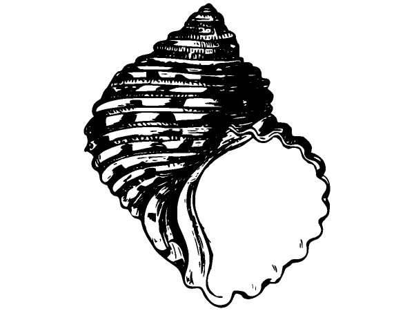 Животные 1288