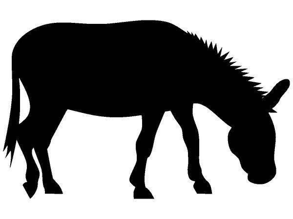 Животные 1484