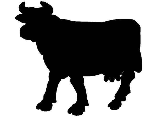 Животные 3559 Животные 3559