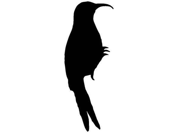 Животные 2800