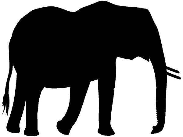 Животные 2171 Животные 2171