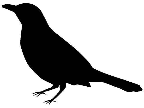 Животные 1187