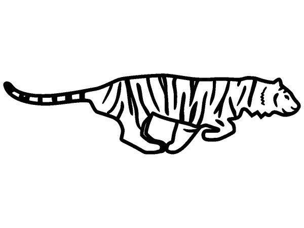 Животные 448