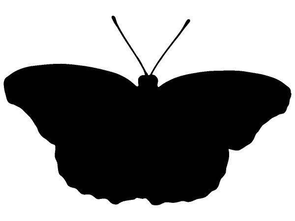 Животные 2922