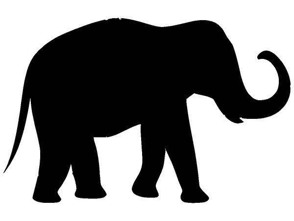 Животные 2174 Животные 2174