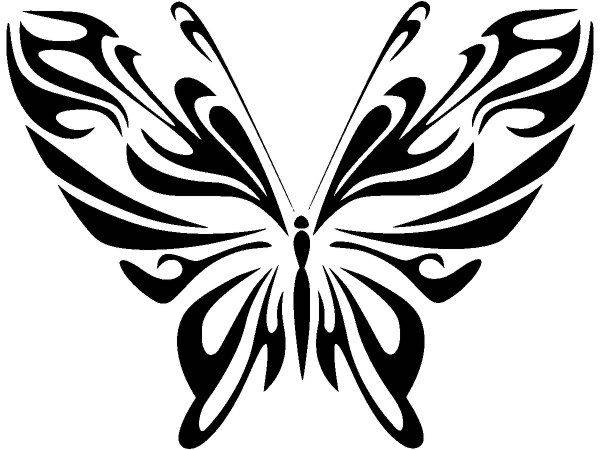 Животные 2639