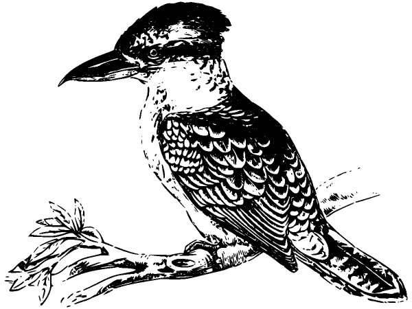 Животные 990