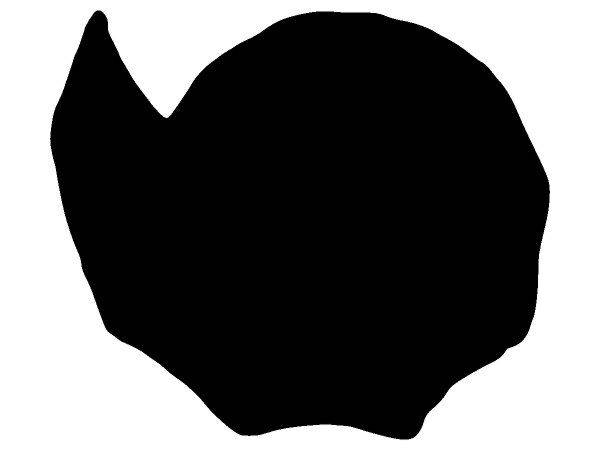 Животные 3073