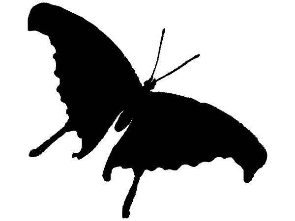 Животные 2275 Животные 2275