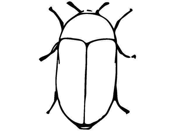 Животные 2449 Животные 2449