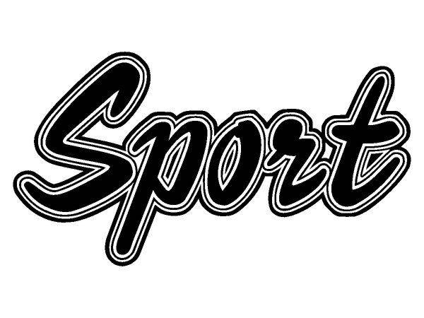 Виниловая наклейка на авто 29