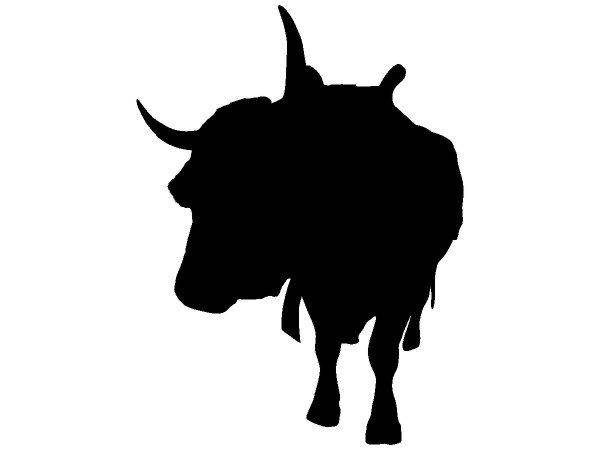 Животные 4244