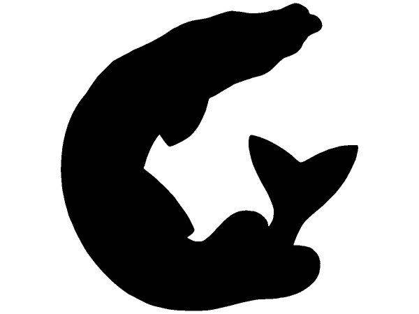 Животные 239