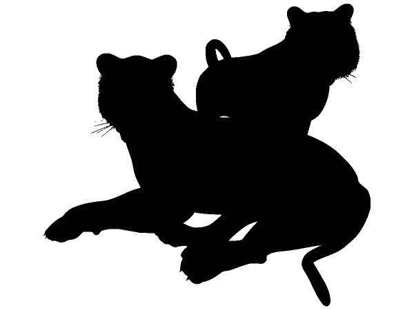 Животные 4040