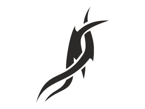 Татуировка 675