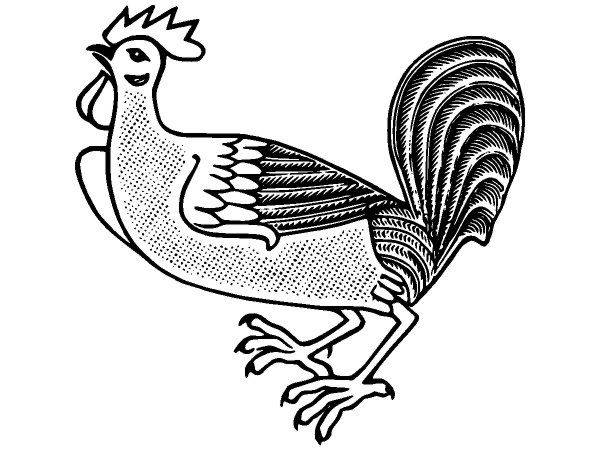 Животные 2623