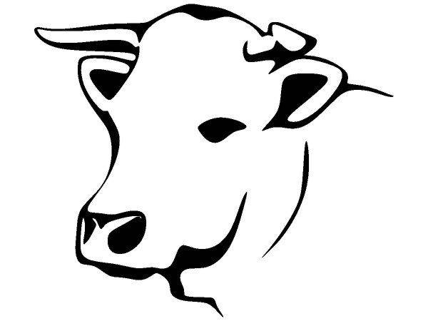 Животные 3696 Животные 3696