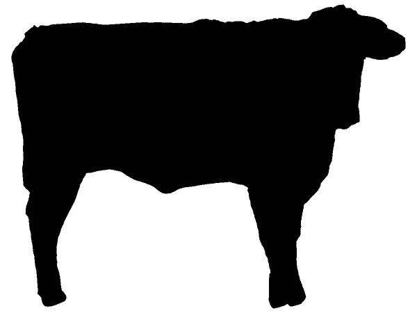 Животные 3347 Животные 3347